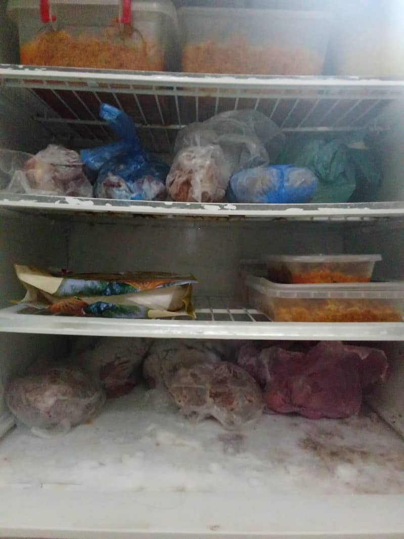 pel refrigerator 1