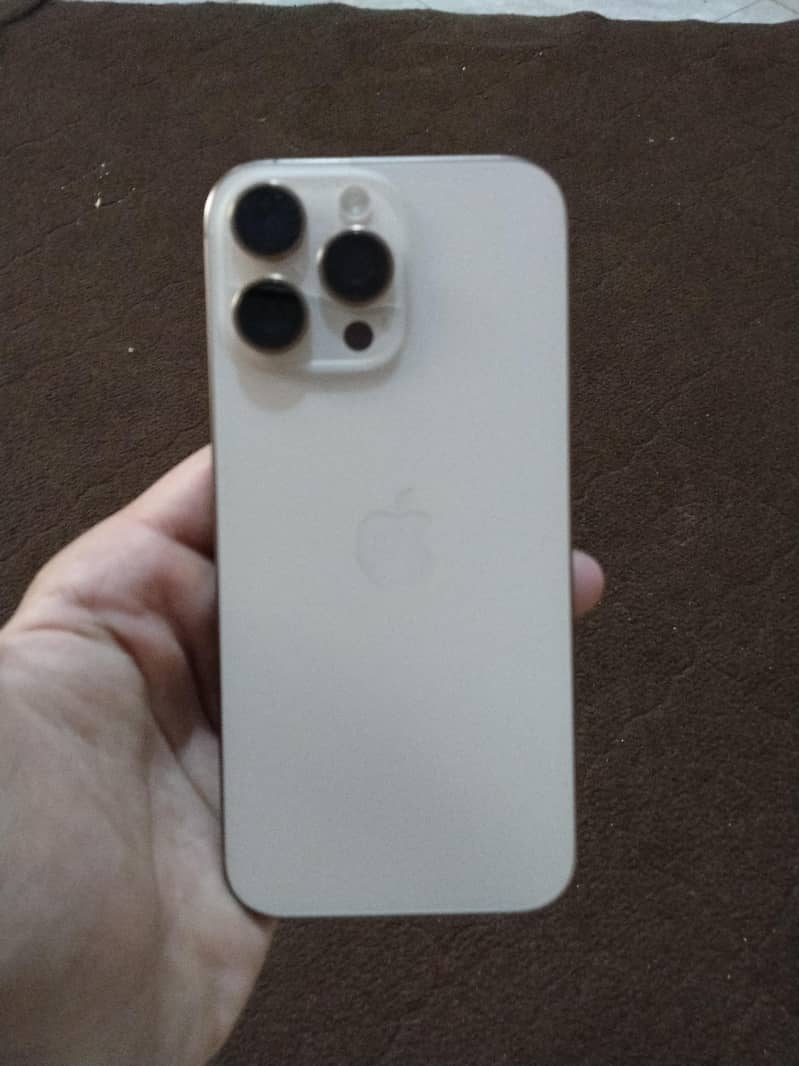 Apple iPhone 16 Pro Max 1