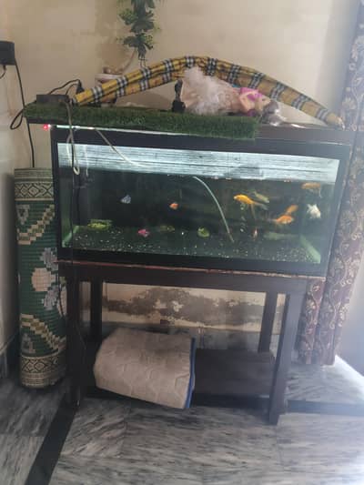 3 feet aquarium for sale 03030254322 Whatsapp only
