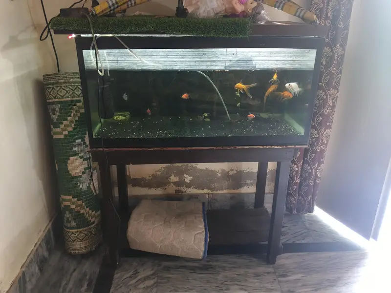 3 feet aquarium for sale 03030254322 Whatsapp only — photo 2
