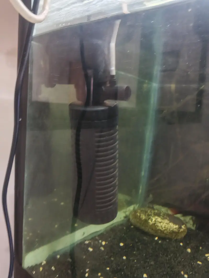 3 feet aquarium for sale 03030254322 Whatsapp only — photo 4