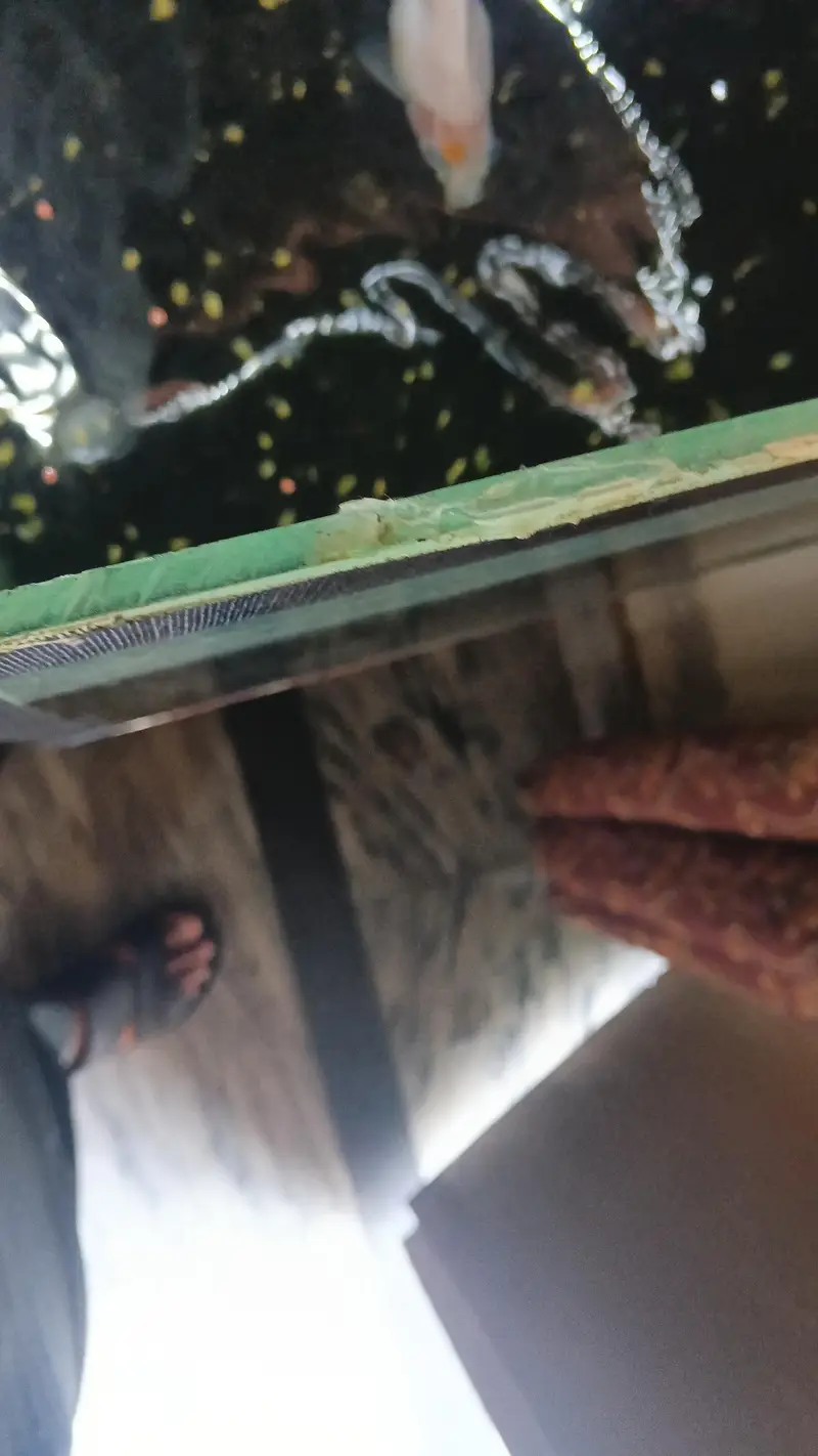 3 feet aquarium for sale 03030254322 Whatsapp only — photo 5
