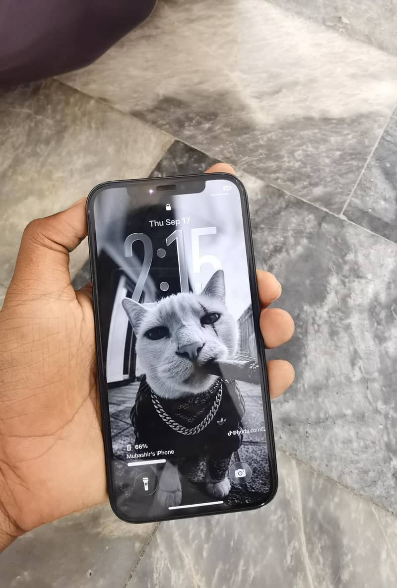 Apple iPhone 12 3