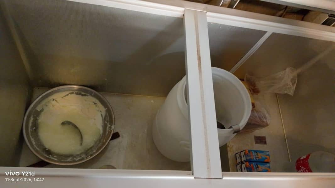 deep freezer 1
