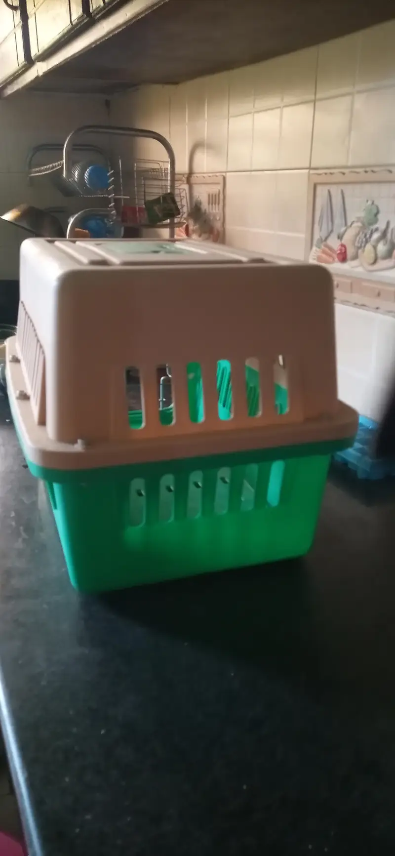 Portable Plastic Pet Carrier (Green & Beige) — photo 2