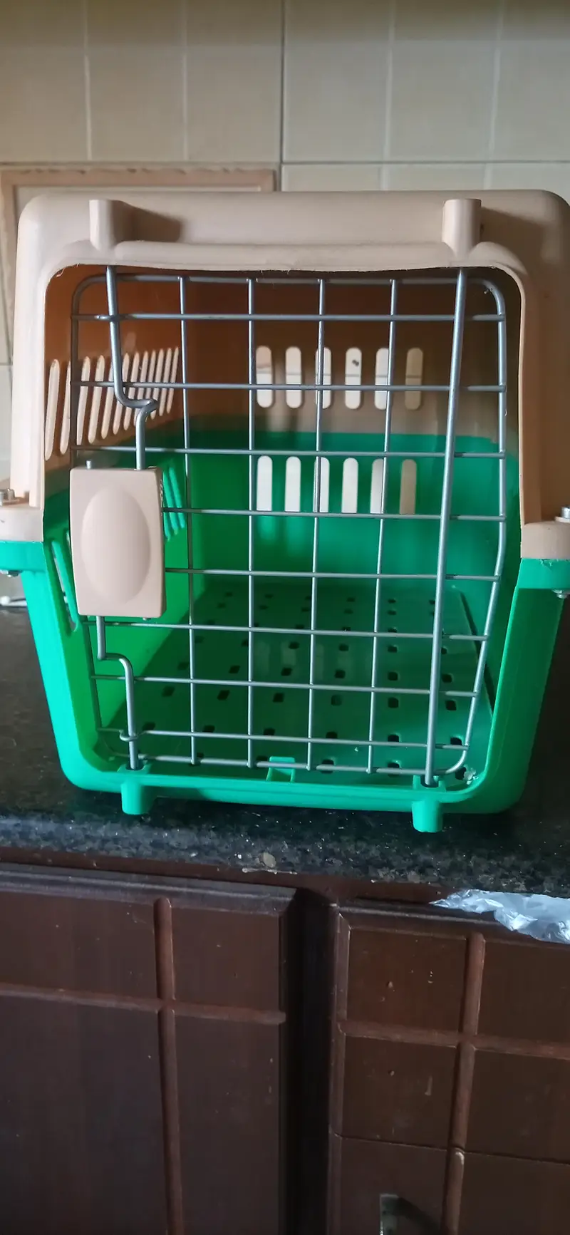 Portable Plastic Pet Carrier (Green & Beige) — photo 3