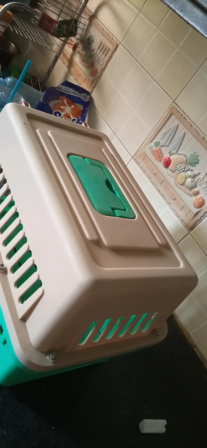 Portable Plastic Pet Carrier (Green & Beige) — photo 4