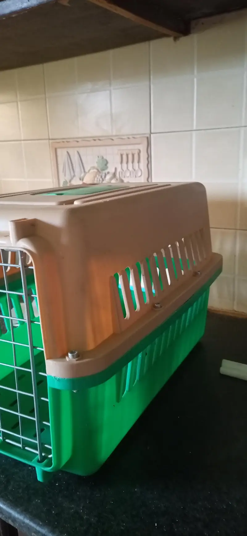 Portable Plastic Pet Carrier (Green & Beige) — photo 5