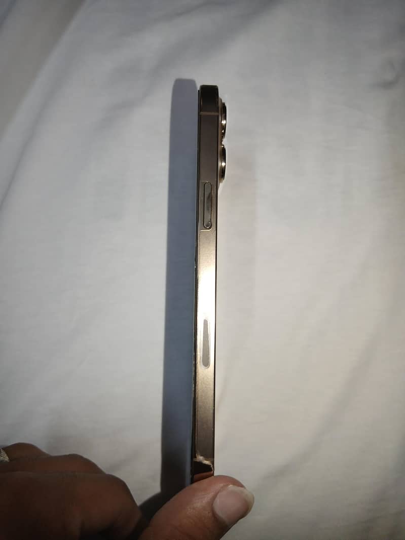 Apple iPhone 13 Pro Max 1