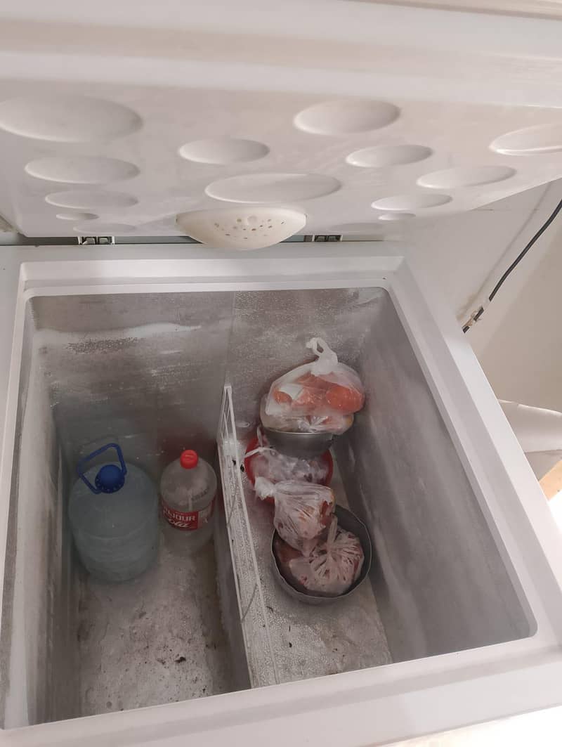 freezer 1