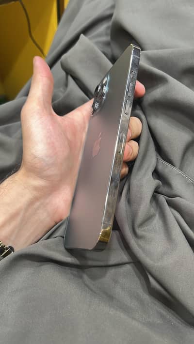 Apple iPhone 12 Pro Max