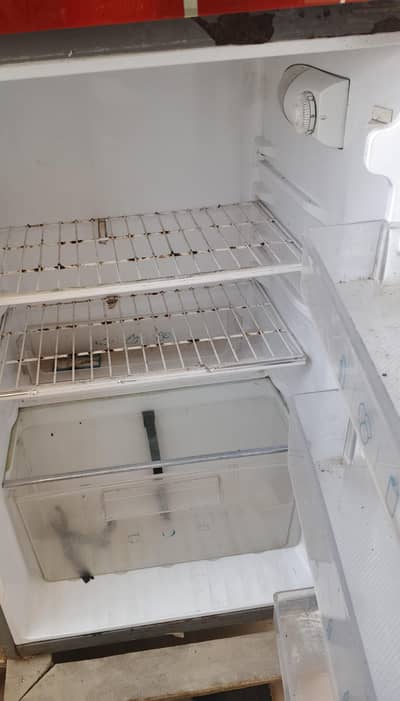 Haier Double Door Deep Freezer