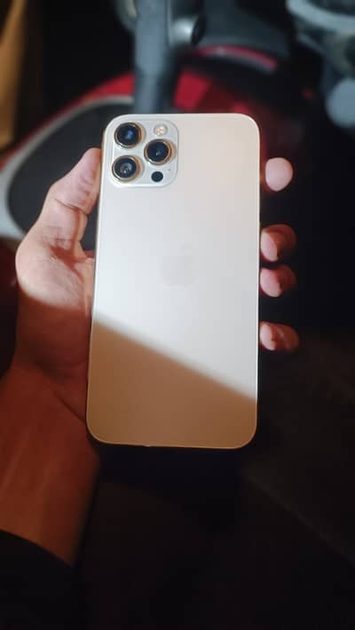 Apple iPhone 12 Pro Max