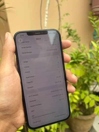 Apple iPhone 12 Pro Max