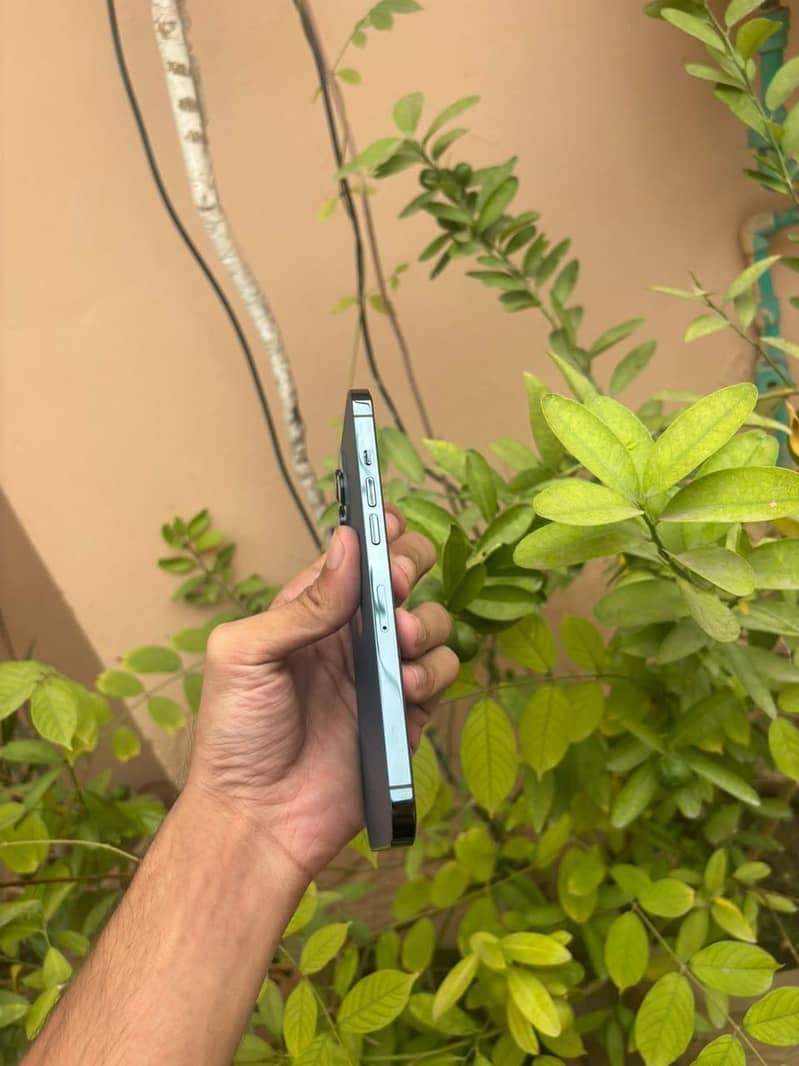 Apple iPhone 12 Pro Max 1