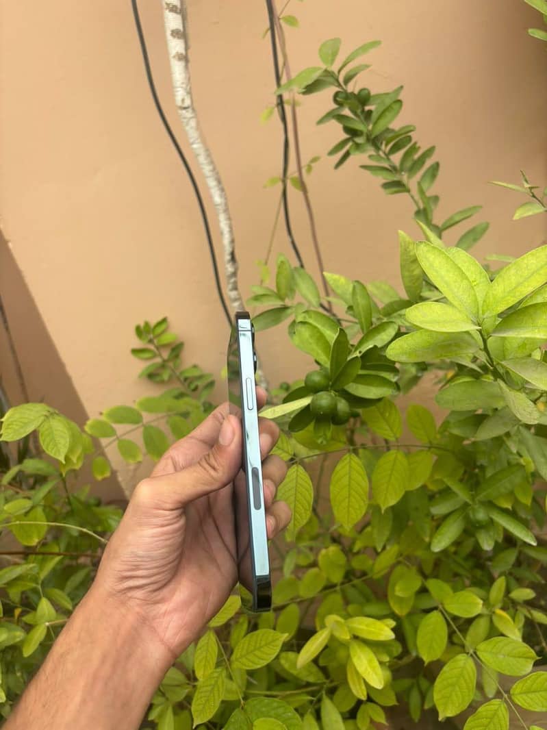 Apple iPhone 12 Pro Max 6