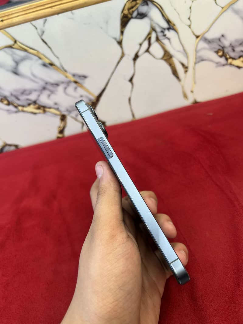 Apple iPhone 13 Pro Max 1