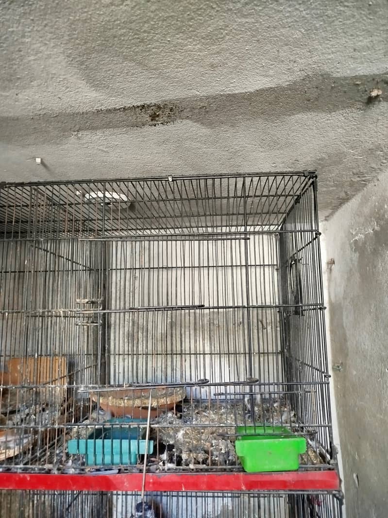 Zarar cage 3