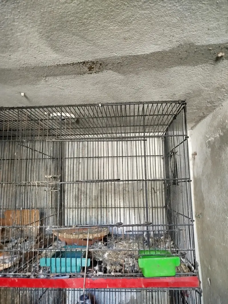 Zarar cage — photo 4