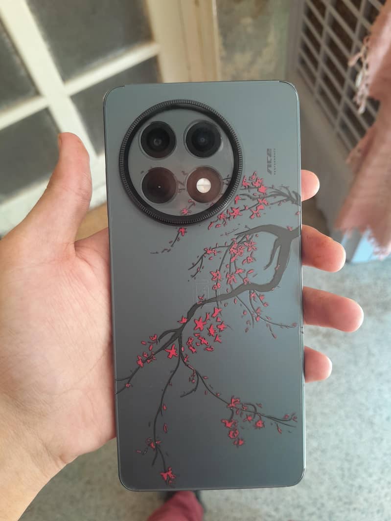 One Plus 13R 1