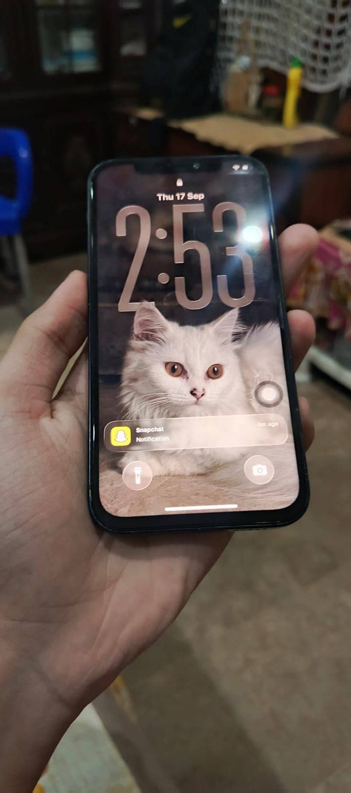 Apple iPhone 12 0