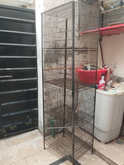 bird cage