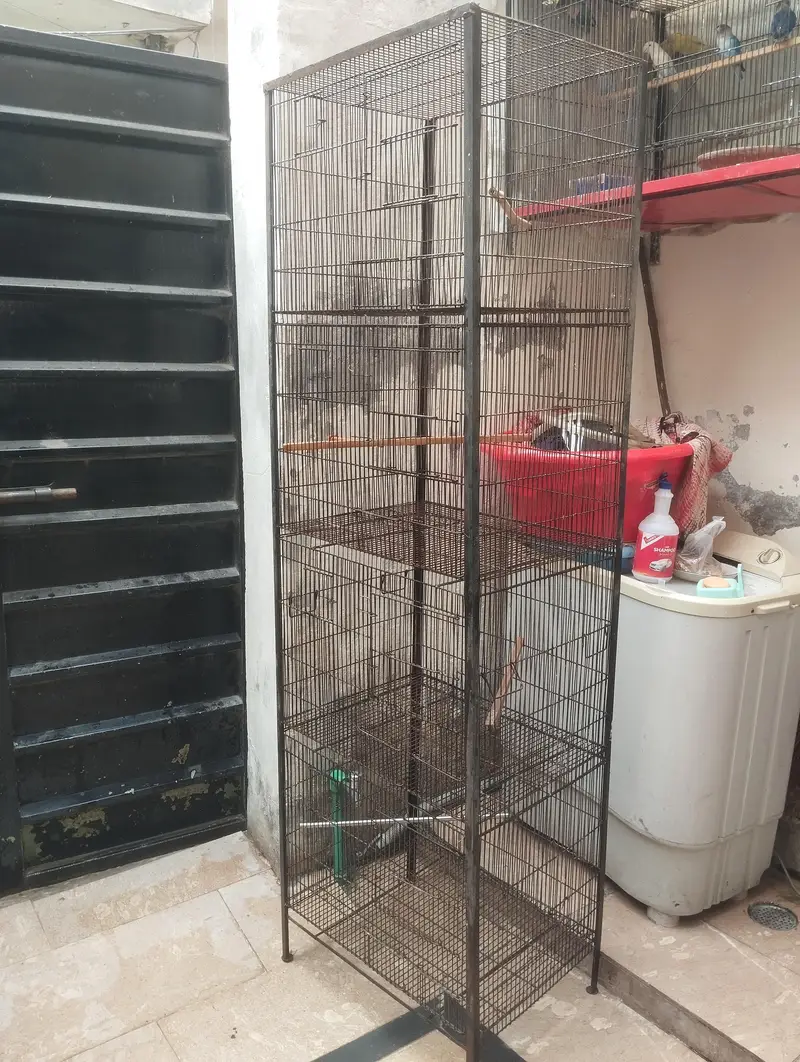 bird cage