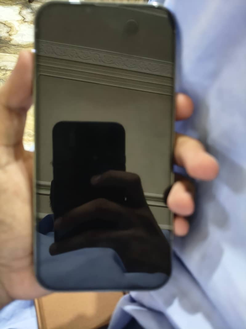 Apple iPhone 13 Pro Max 1