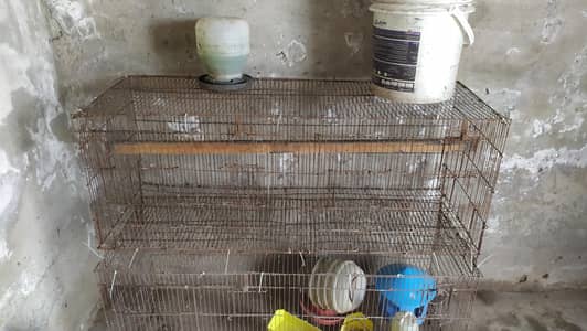 2 Big Wire Cages for Sale - Cheap