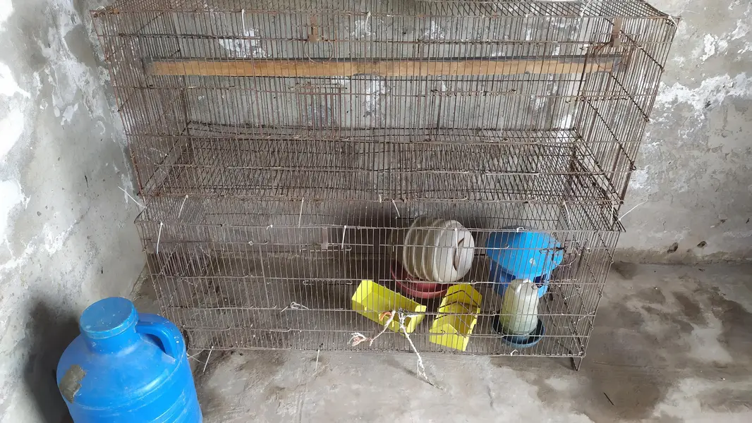 2 Big Wire Cages for Sale - Cheap — photo 3