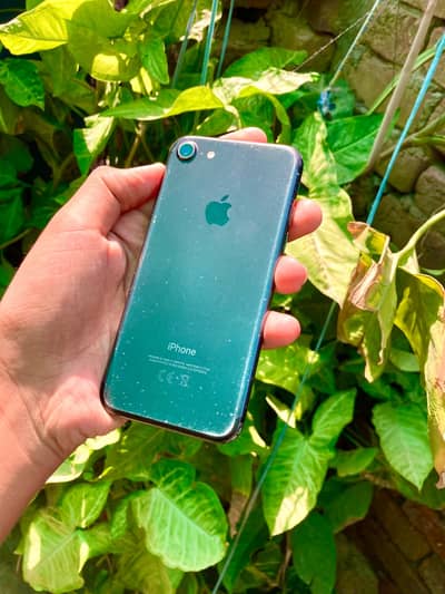 Apple iPhone 7