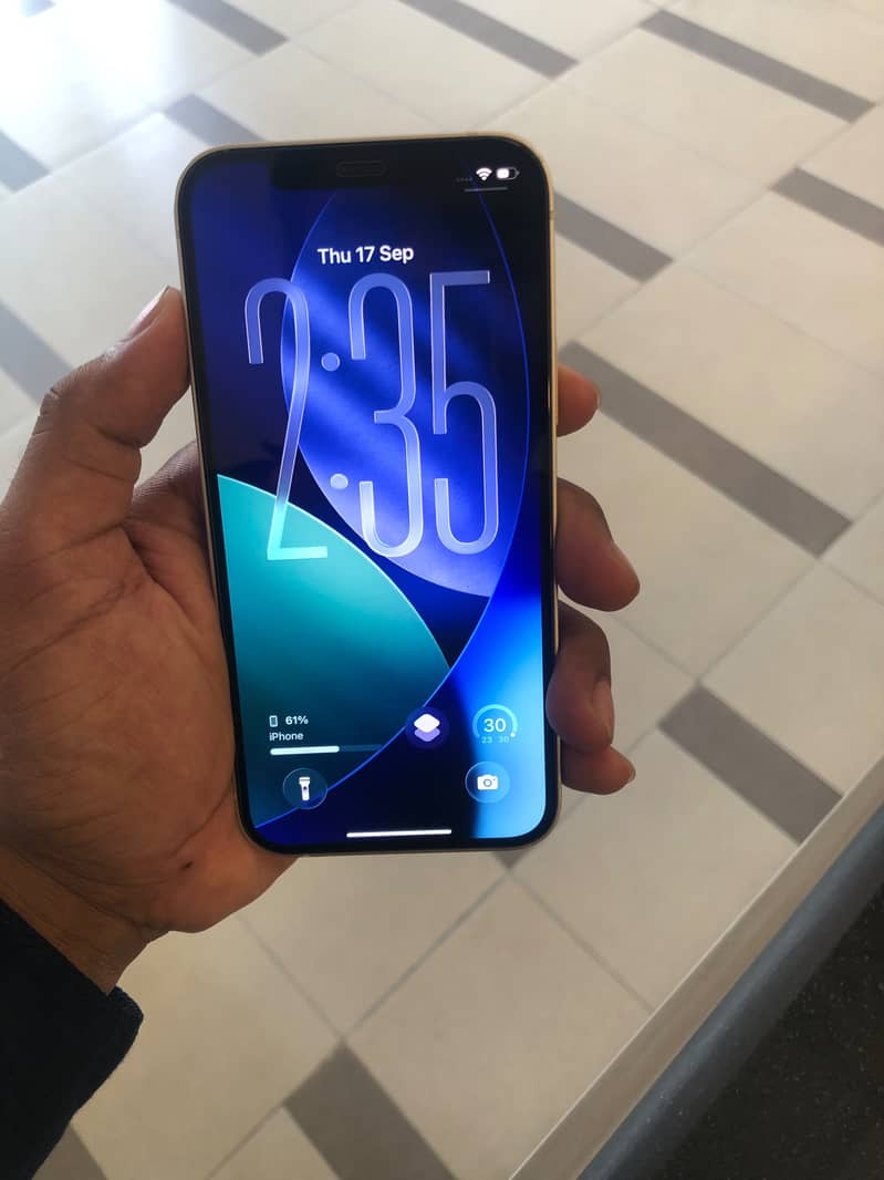 Apple iPhone 12 1