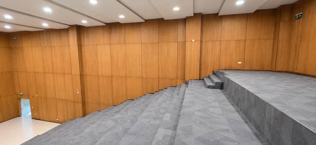 Noise control solutions/Conference rooms/Auditorium acoustics