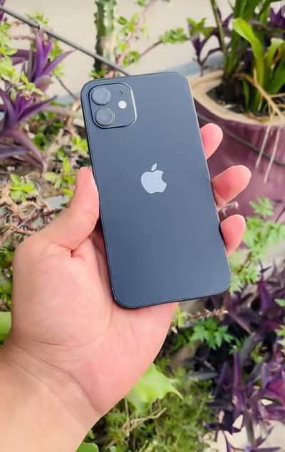 Apple iPhone 12 Water pack