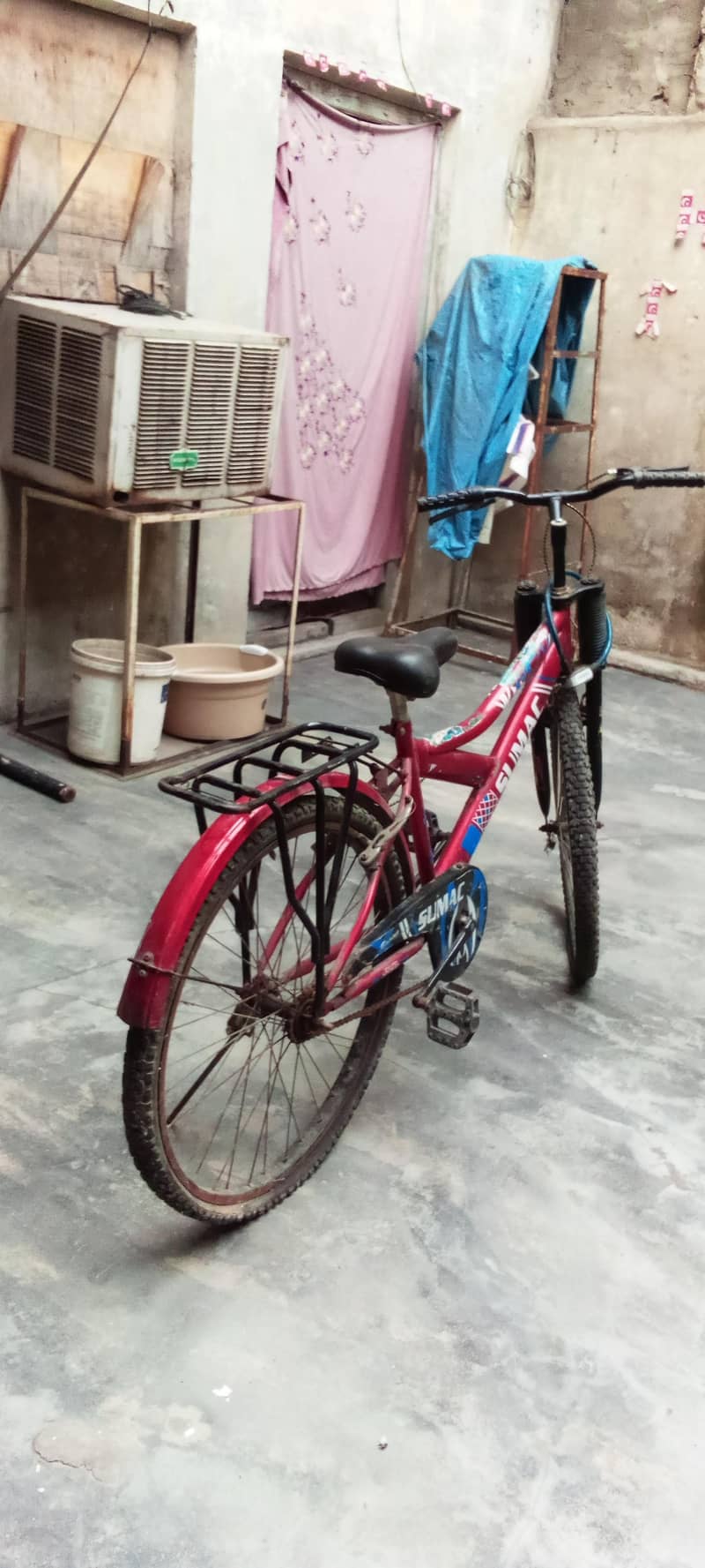 Best cycle 0