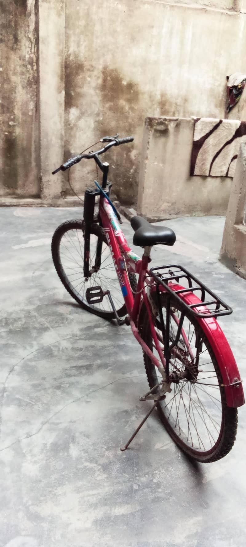 Best cycle 1