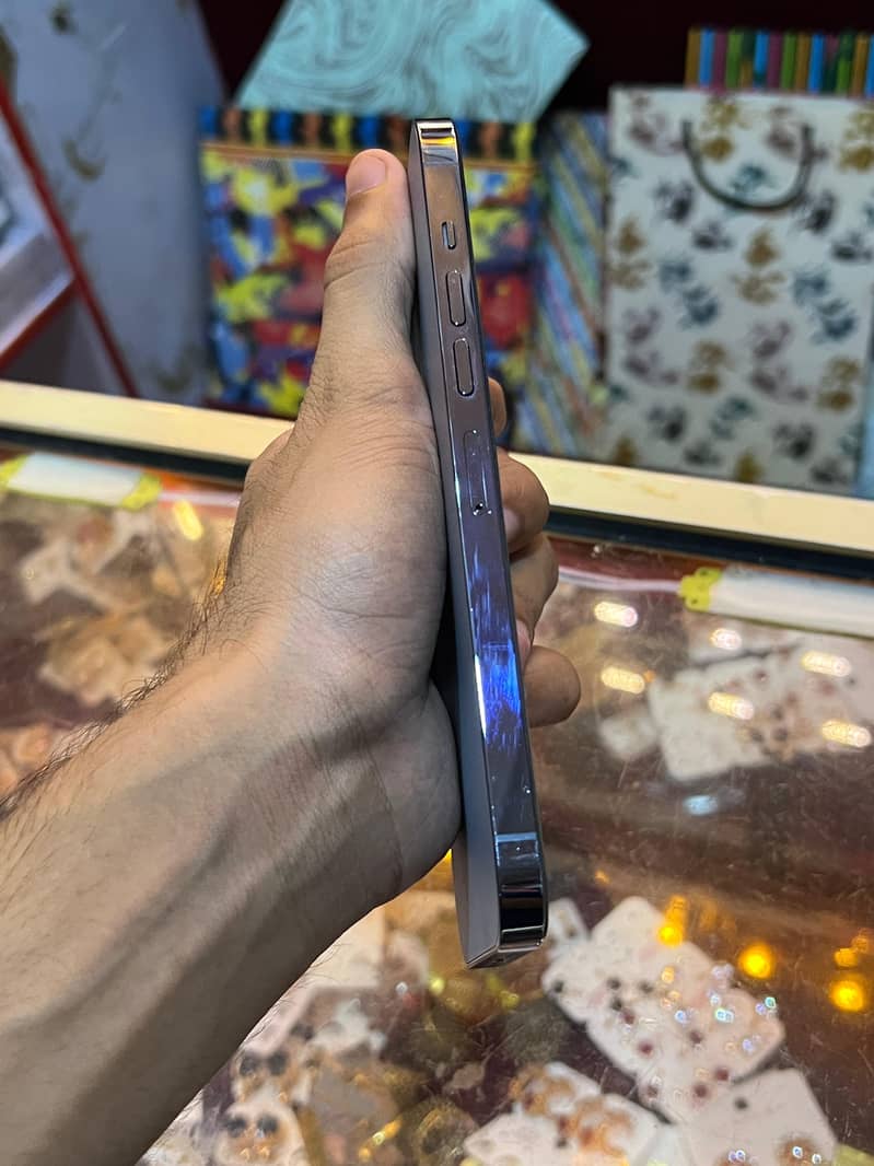 Apple iPhone 13 Pro Max 4