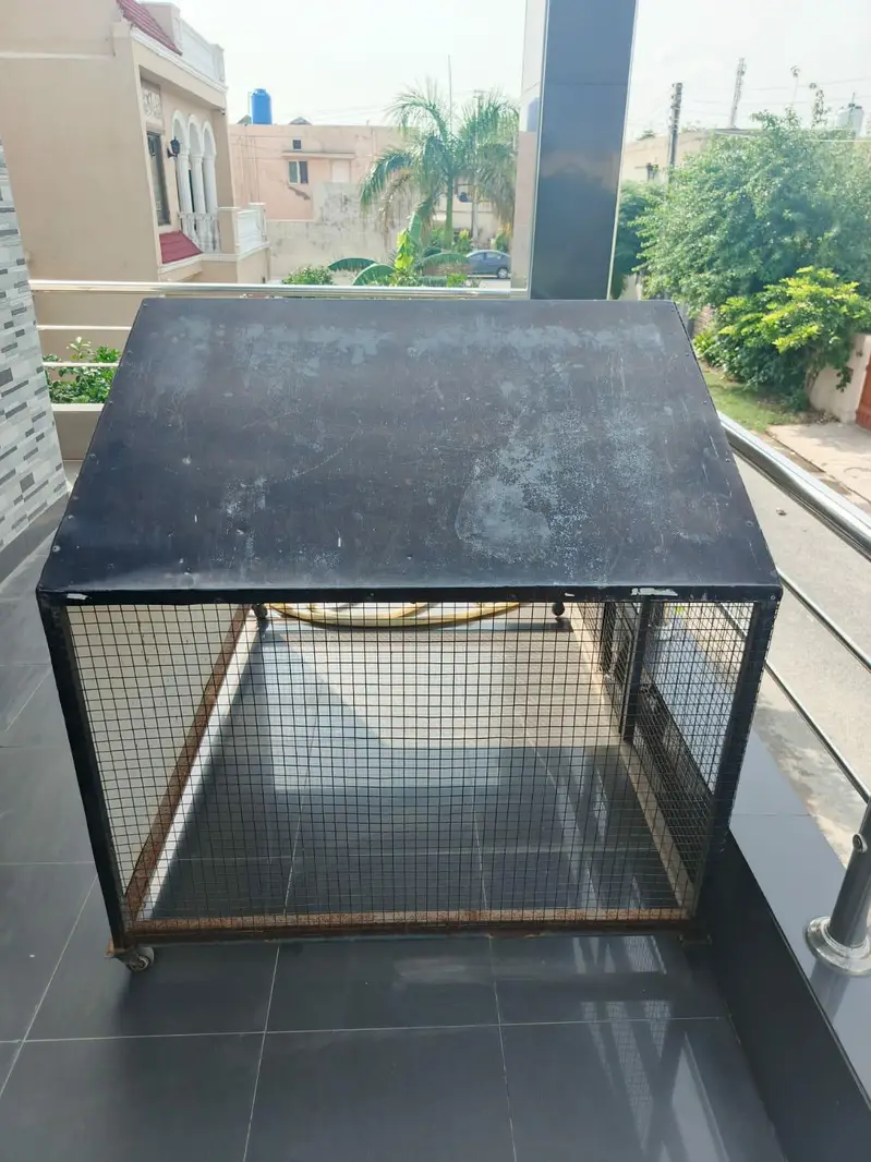 cage pinjra for sale — photo 2