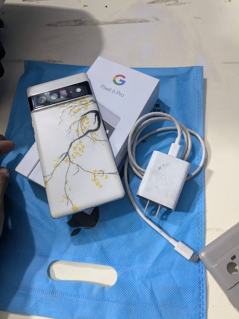 Google Pixel 6 Pro 1