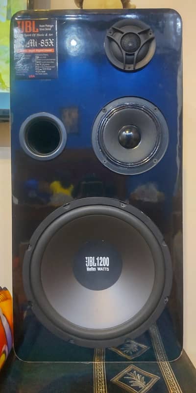 sailin speakers 10 inch