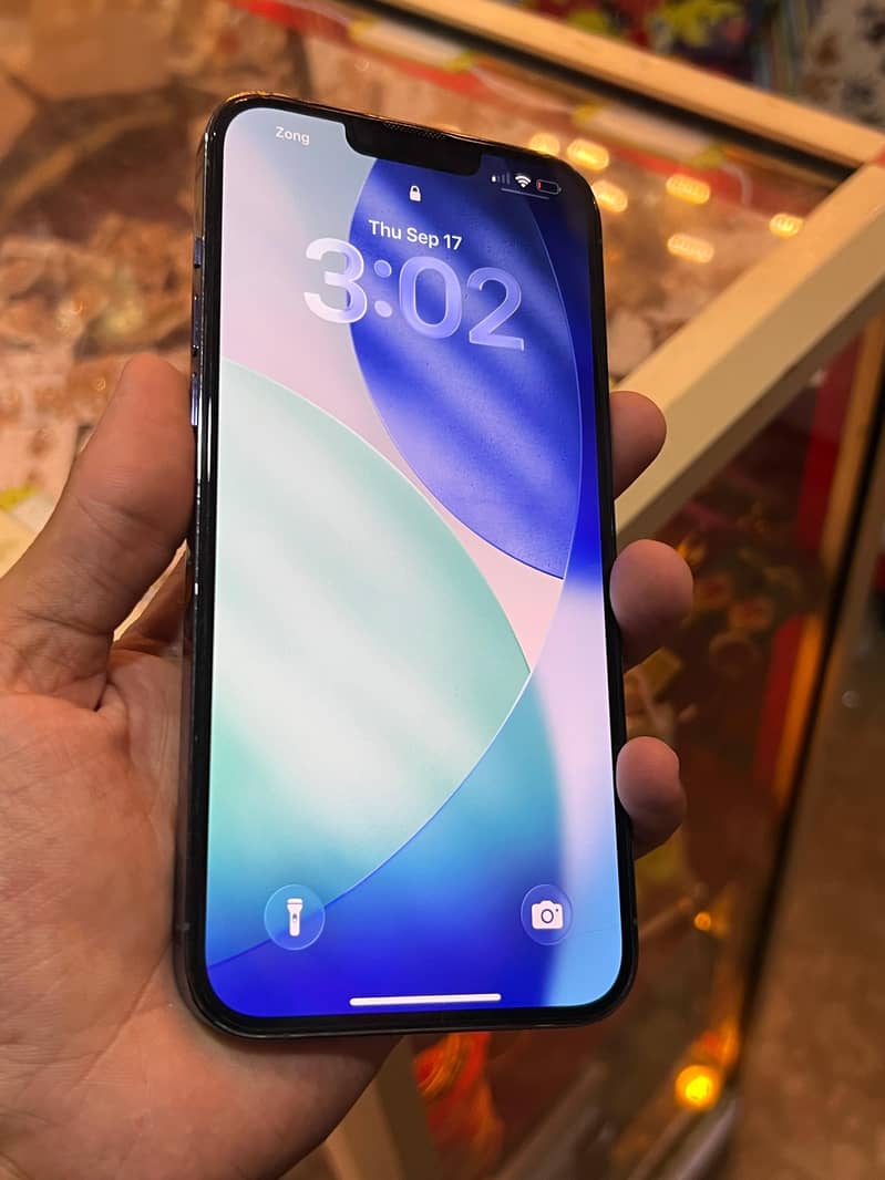 Apple iPhone 13 Pro Max 1