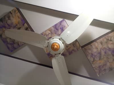 GFC Fan In Good Condition For Sale