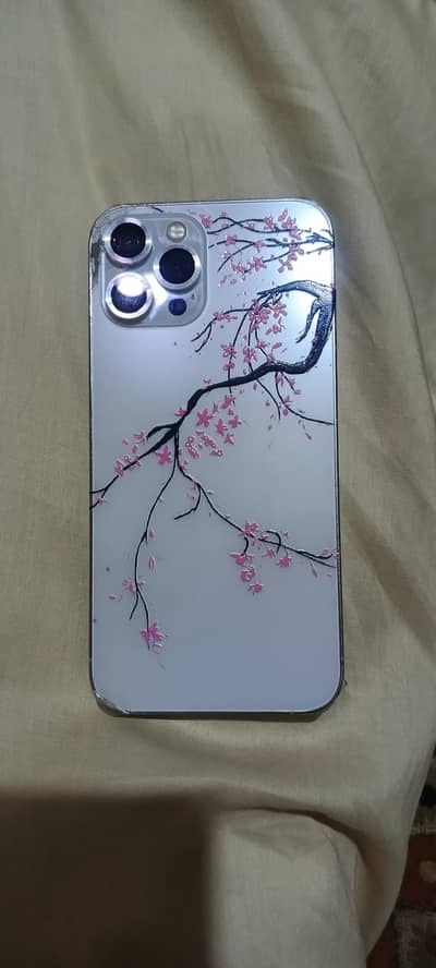 Apple iPhone 12 Pro Max