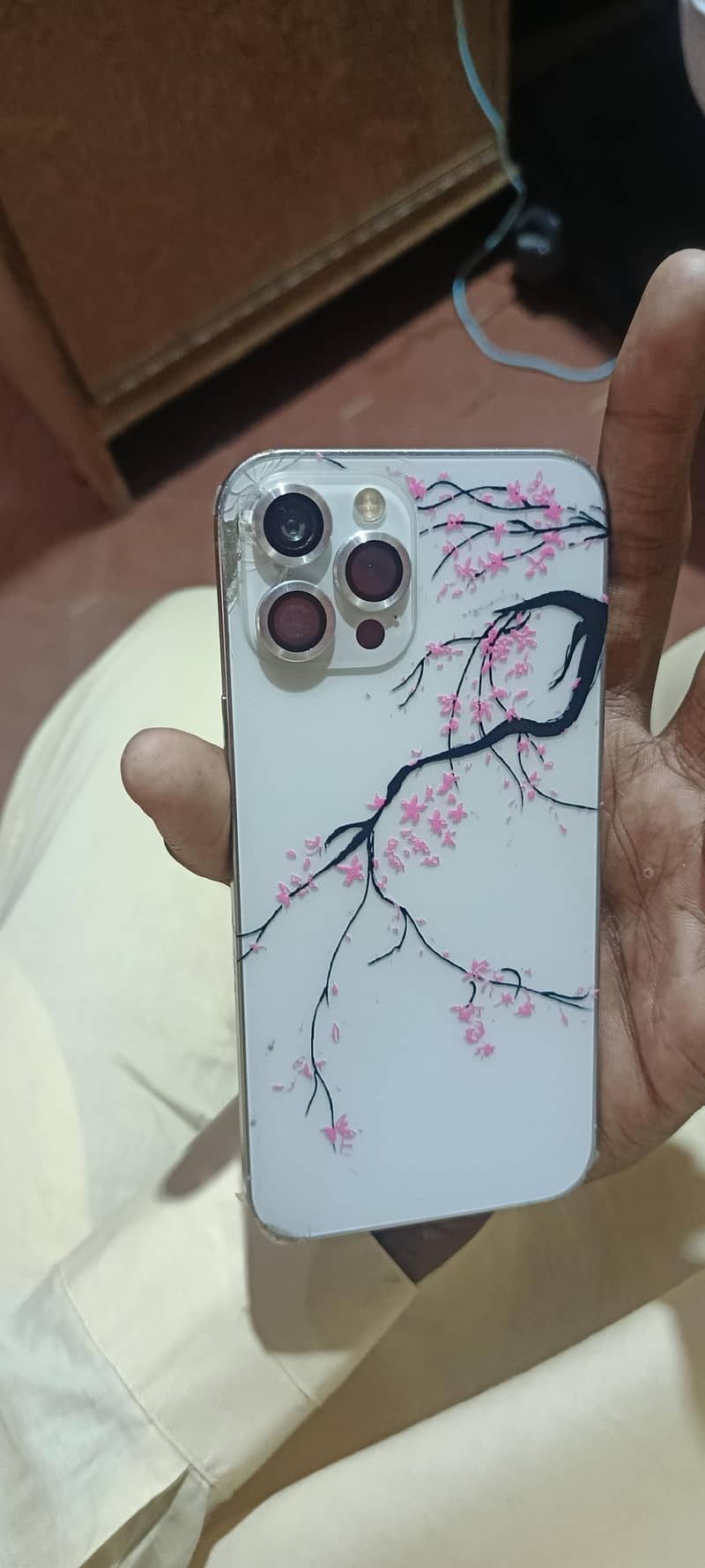 Apple iPhone 12 Pro Max 1