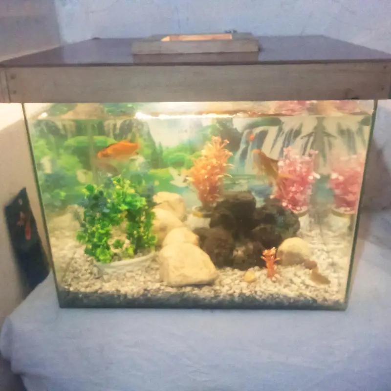 equaryam sell fainel 8000 argent sell — photo 4
