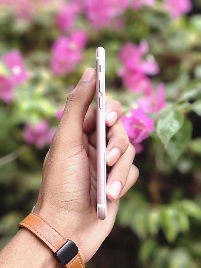 iPhone 6S 2