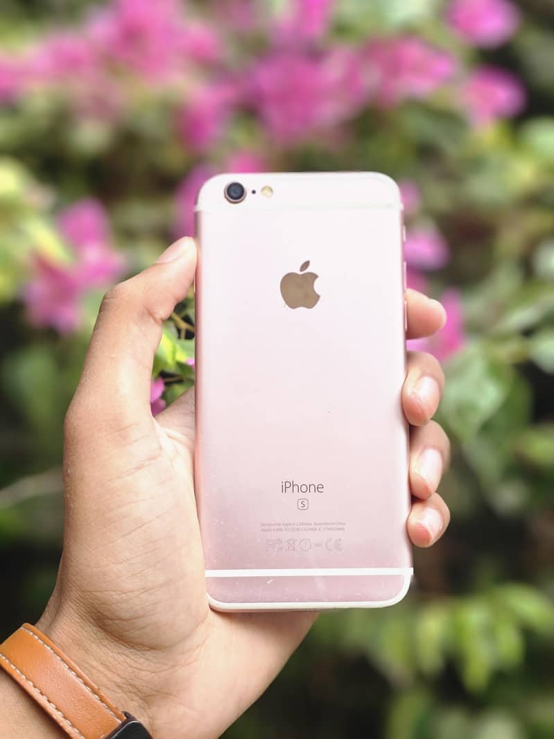 iPhone 6S 3