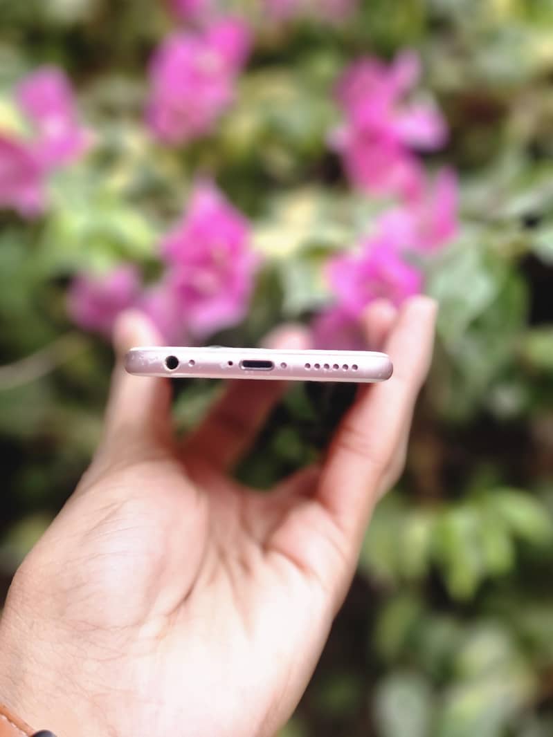 iPhone 6S 6