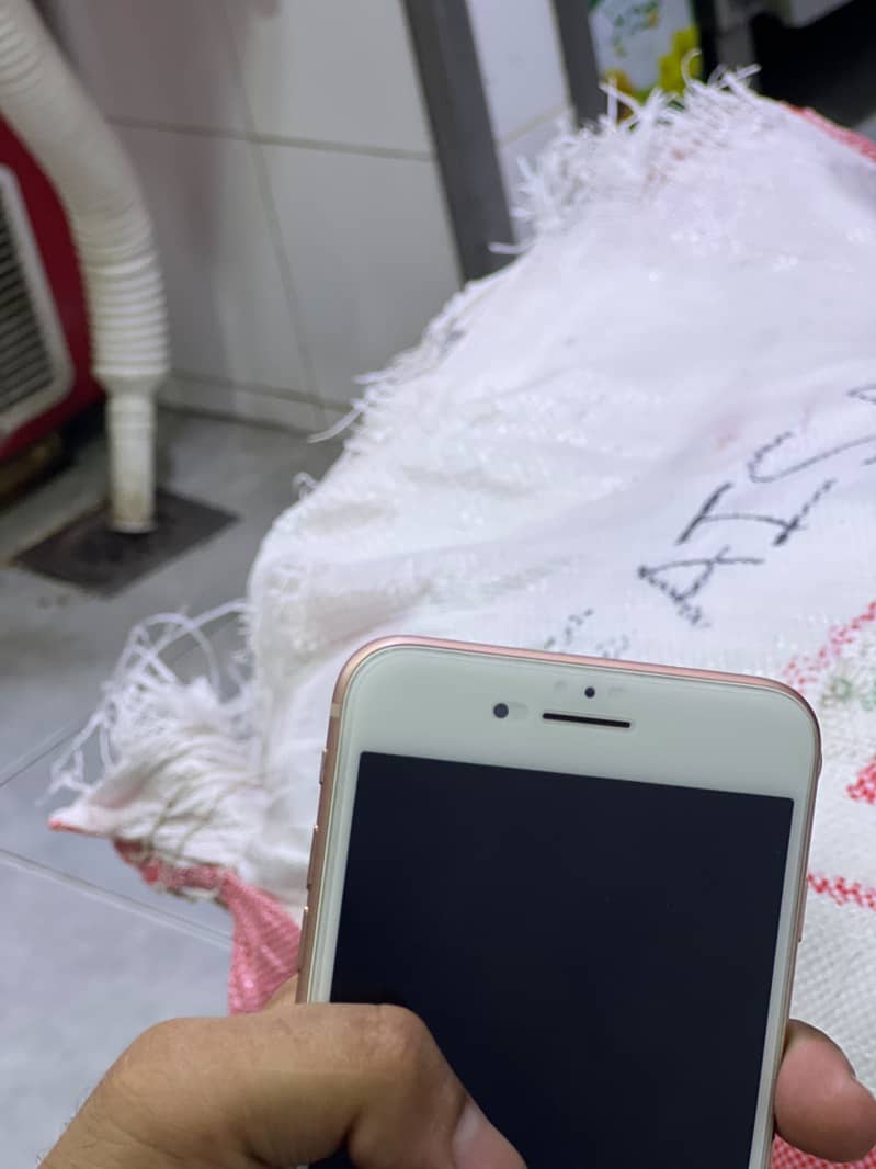 Apple iPhone 8 Plus 0