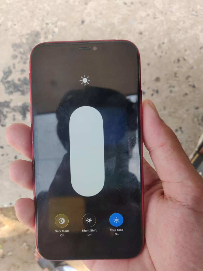 Apple iPhone 11 1
